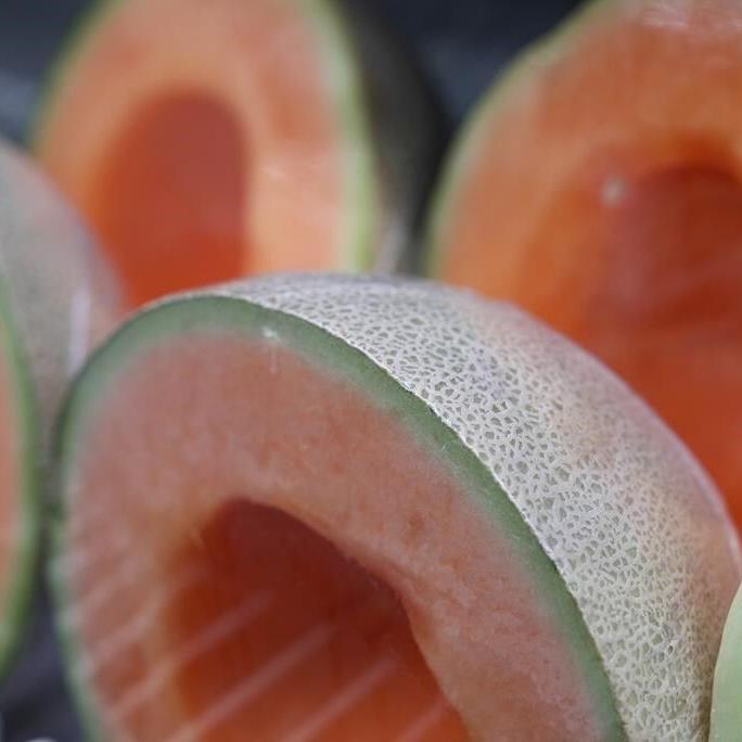 Another class-action lawsuit over cantaloupe salmonella outbreak filed in Canada